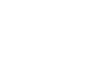 BCG Logo